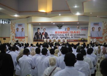 Sekjen Gerindra: Kita Ajukan Cawapres Anak Muda Malah Dituduh Ini Itu
